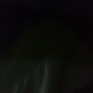 Meet your Posher, Janice